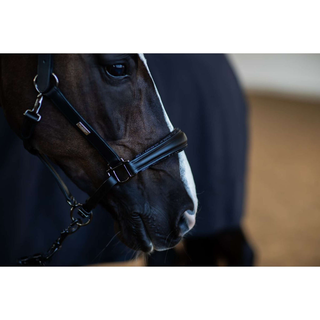 Equestrian Stockholm Licol Glimmer Anatomic Leather Noir