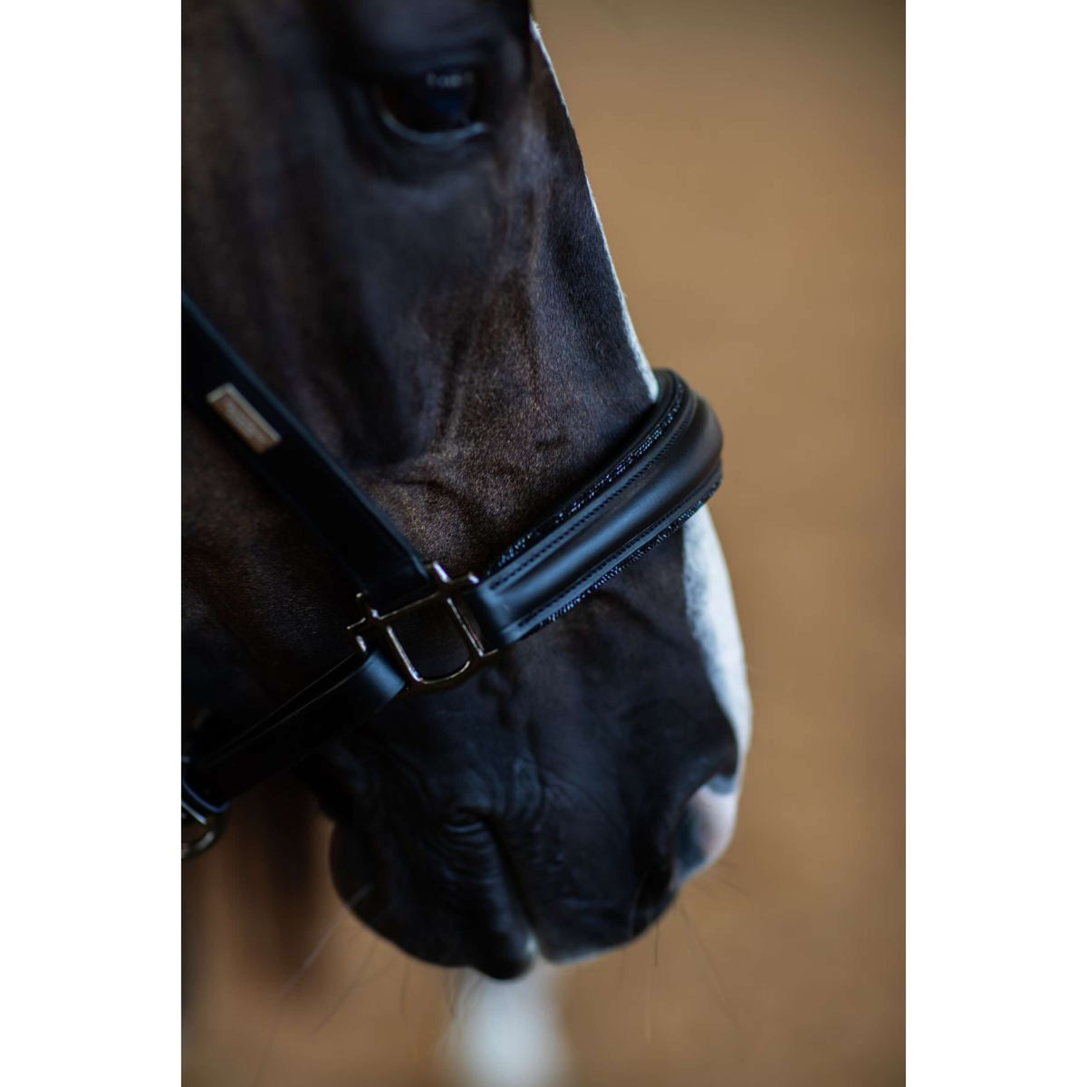 Equestrian Stockholm Licol Glimmer Anatomic Leather Noir
