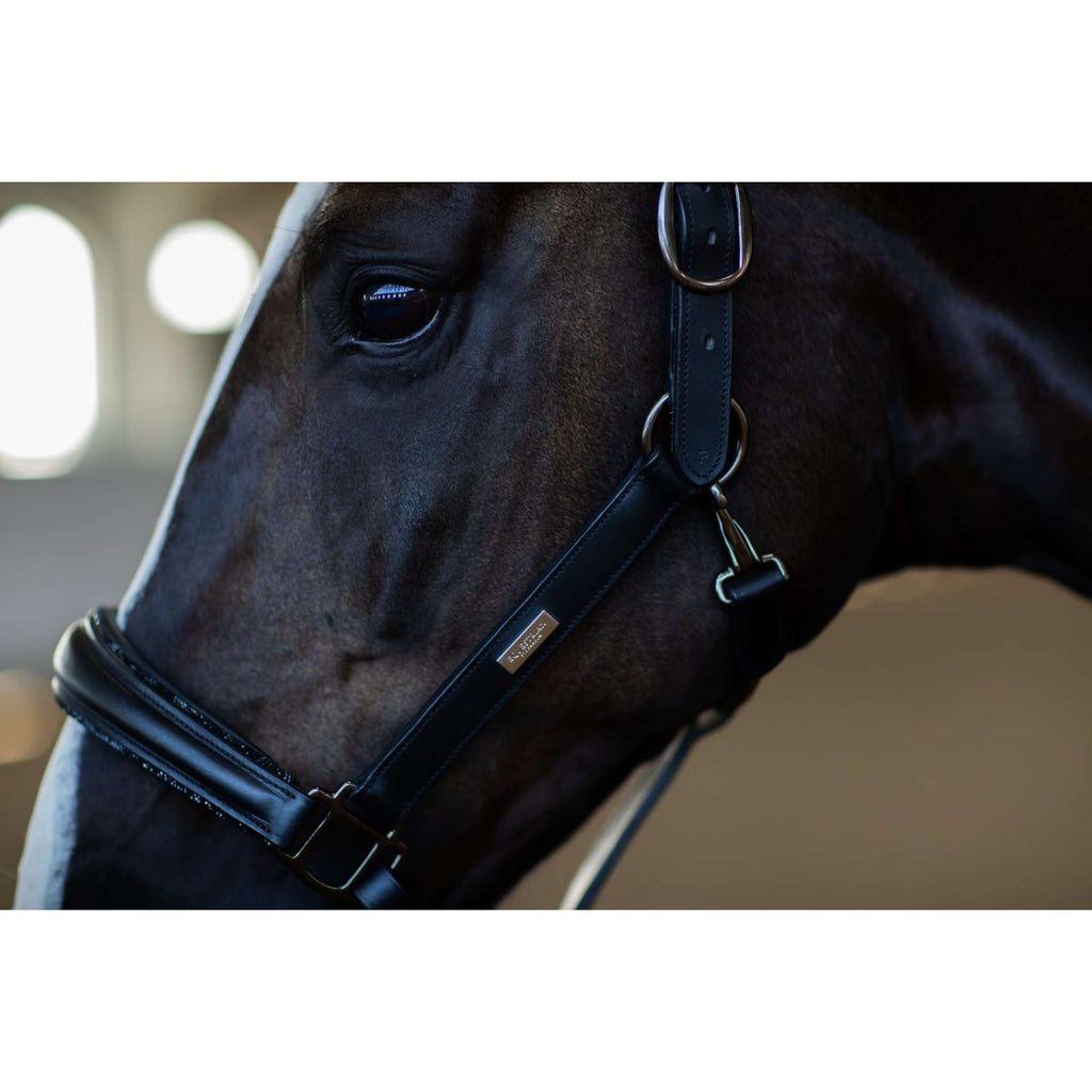Equestrian Stockholm Licol Glimmer Anatomic Leather Noir