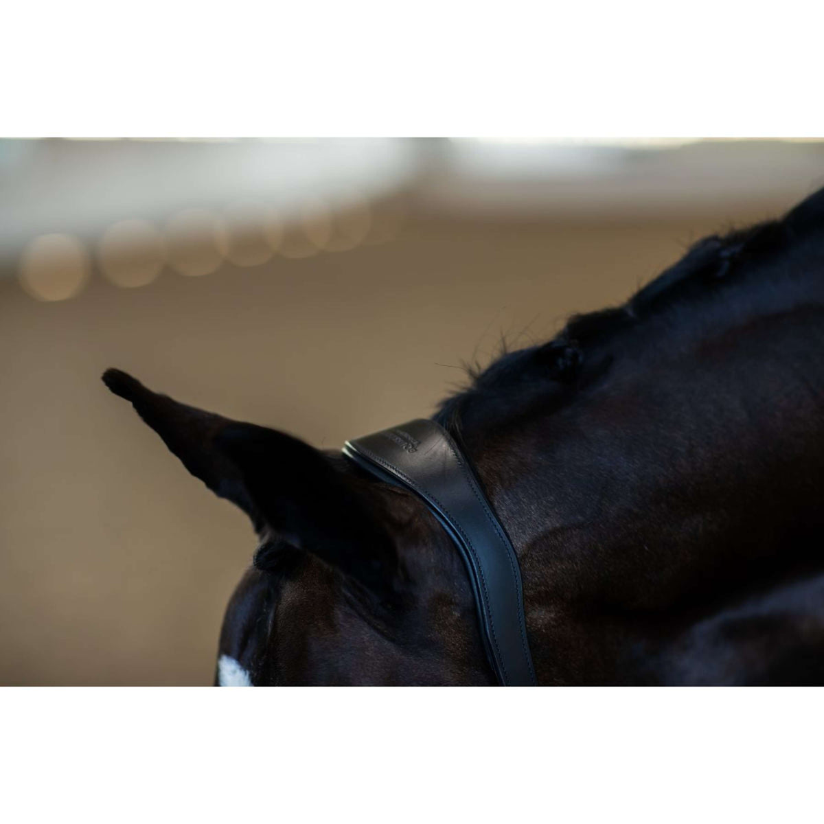 Equestrian Stockholm Licol Glimmer Anatomic Leather Noir