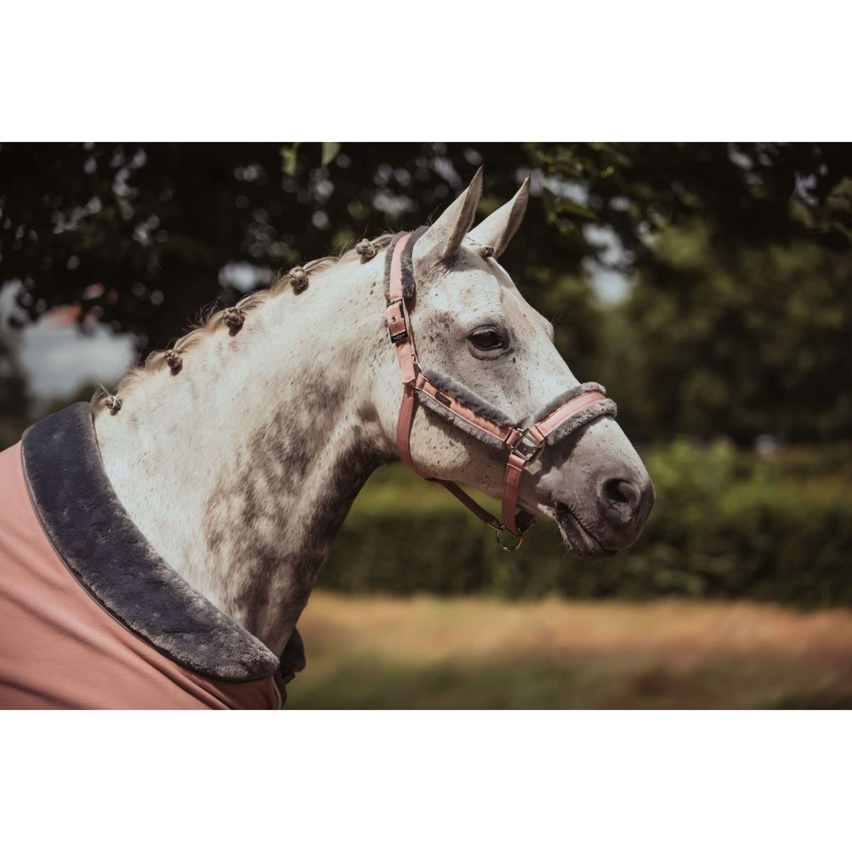 Equestrian Stockholm Couverture Polaire Fur Rose