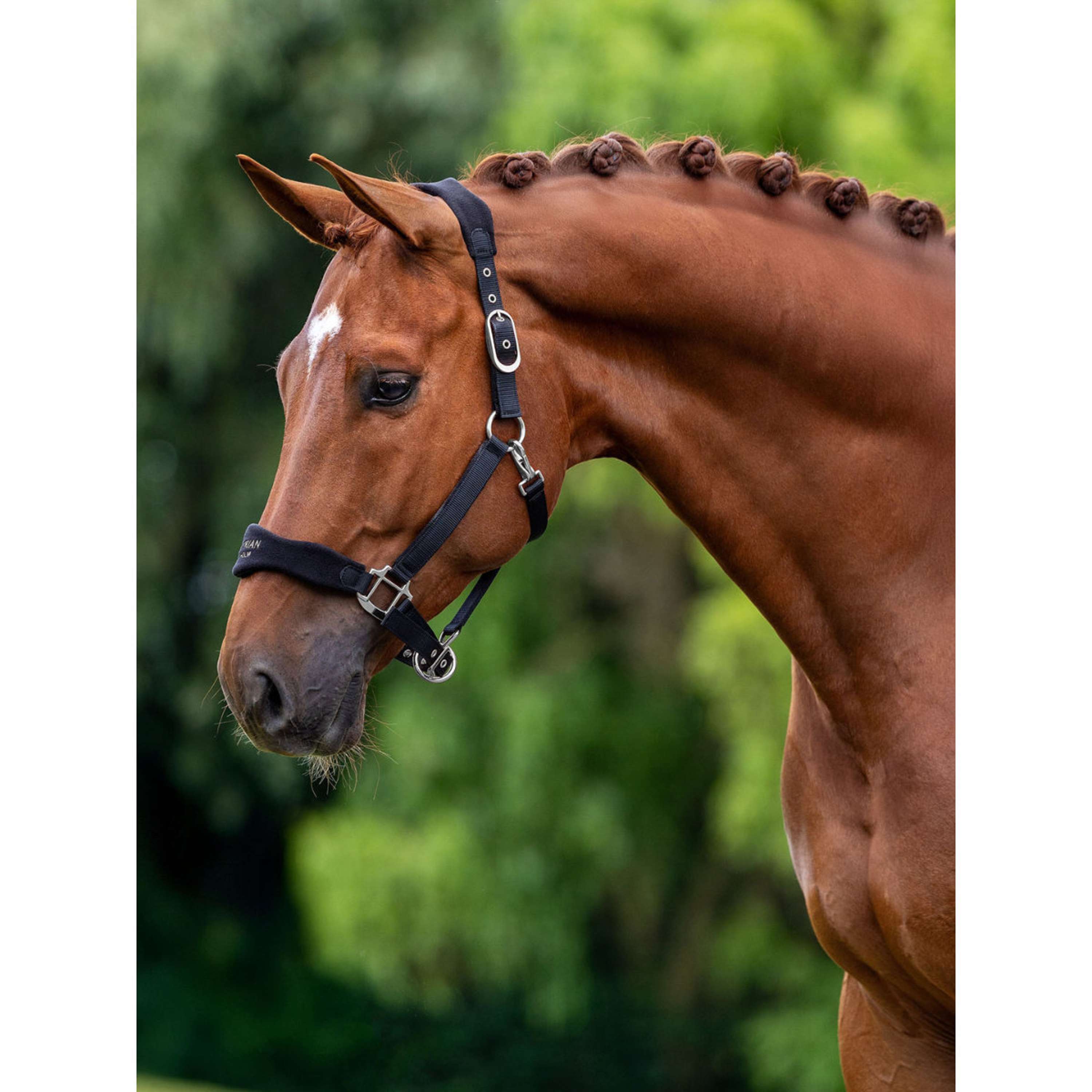 Equestrian Stockholm Licol Anatomic Fleece Noir