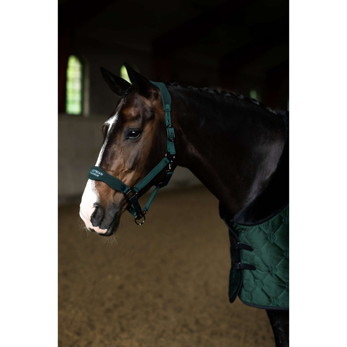 Equestrian Stockholm Licol Anatomic Fleece Sycamore Green