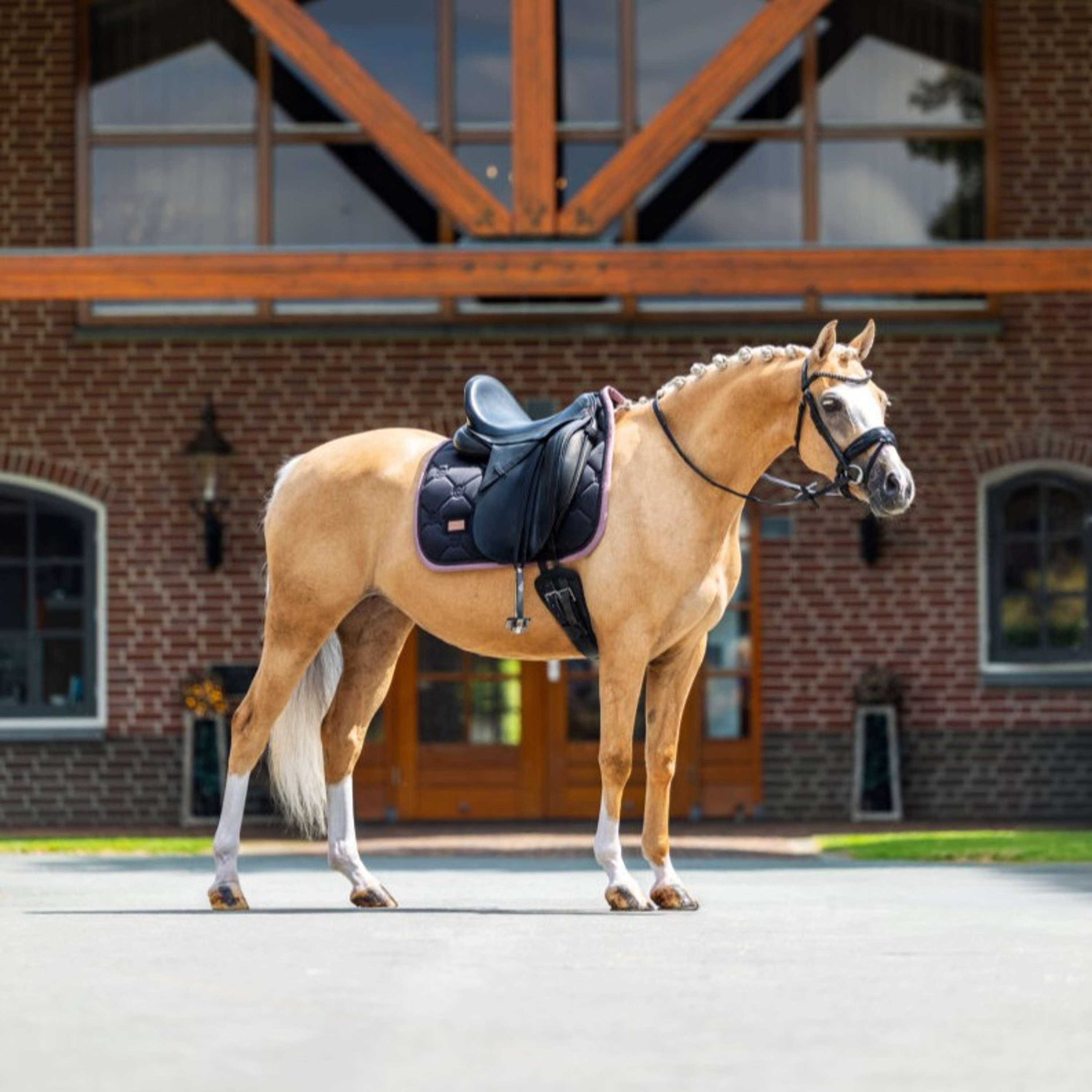 Equestrian Stockholm Tapis de Selle Dressage Noir/Blush