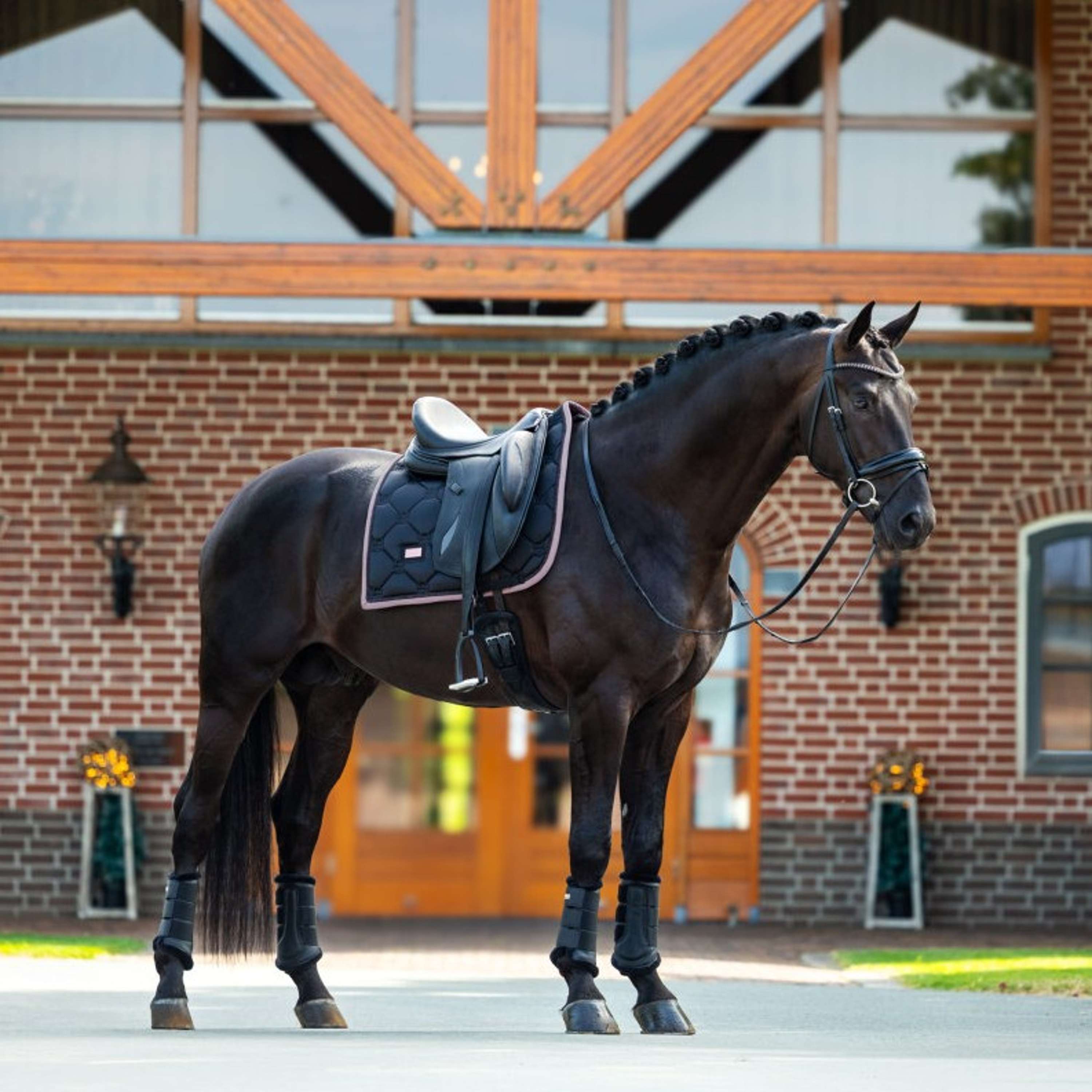 Equestrian Stockholm Tapis de Selle Dressage Noir/Blush