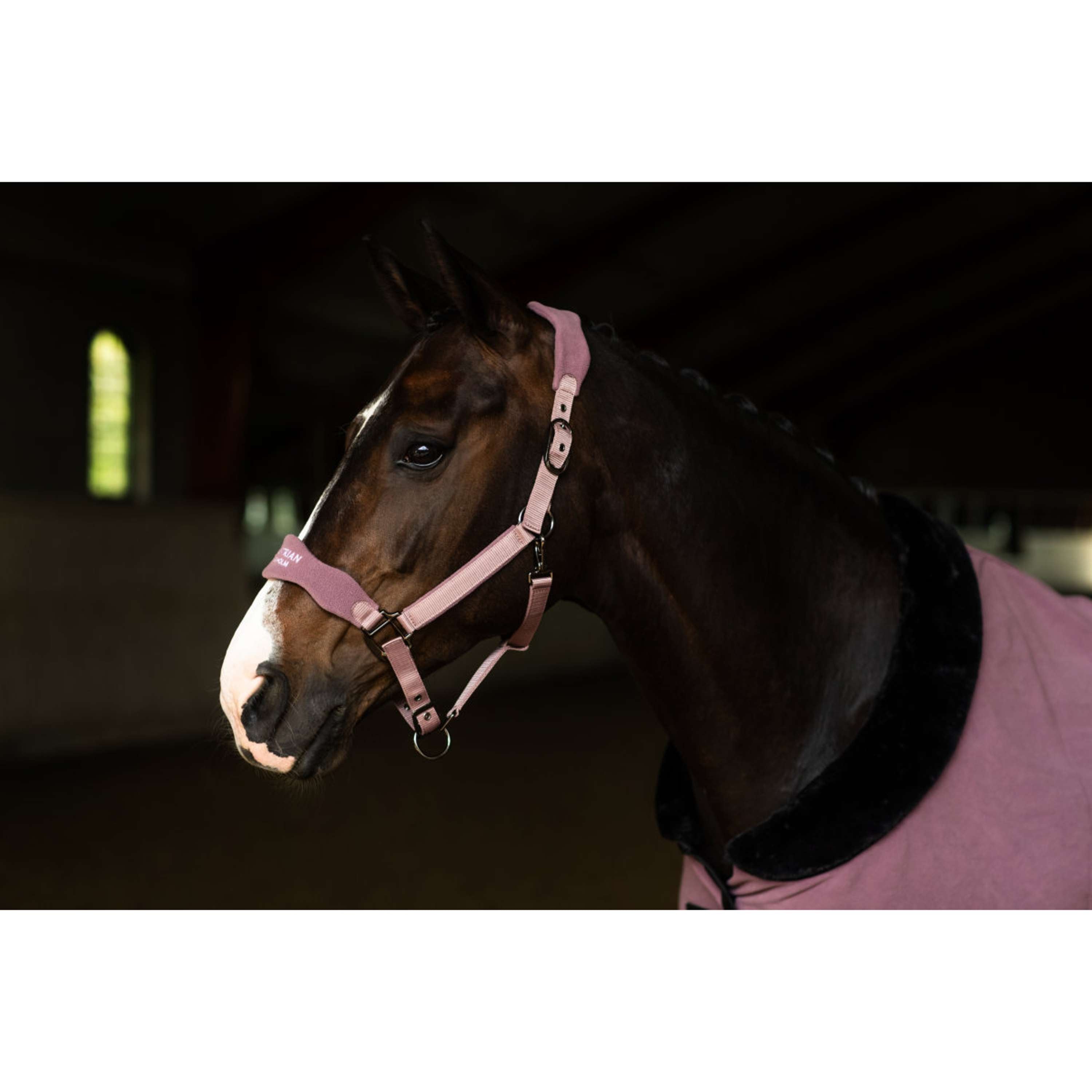 Equestrian Stockholm Licol Anatomic Fleece Blush
