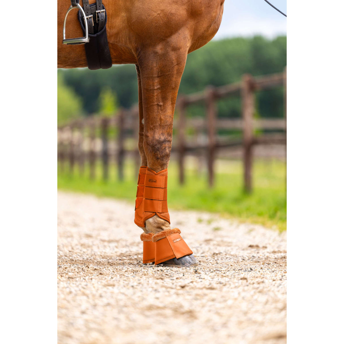 Equestrian Stockholm Cloches d'Obstacles Chestnut