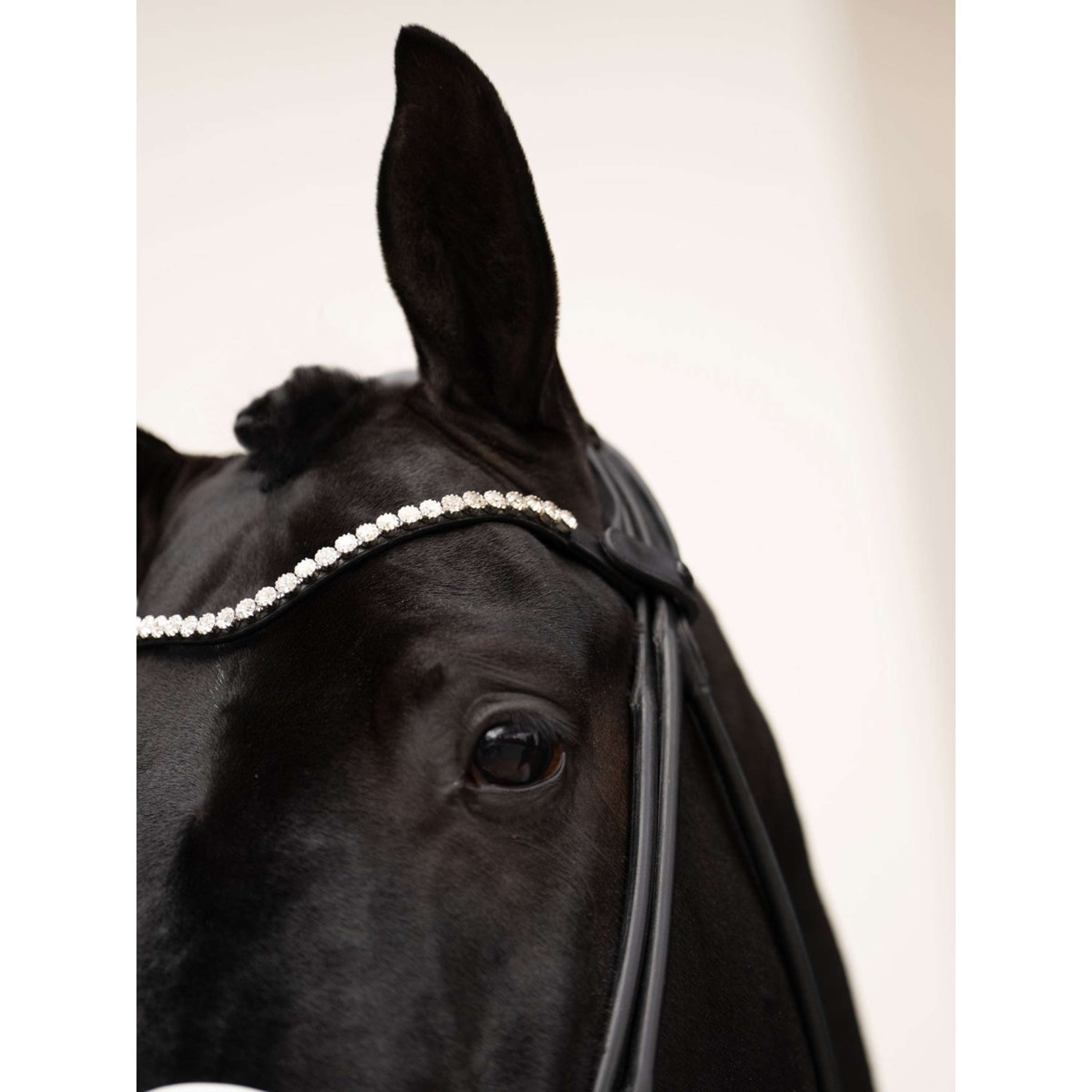 Equestrian Stockholm Frontal Faded 8mm Crystal