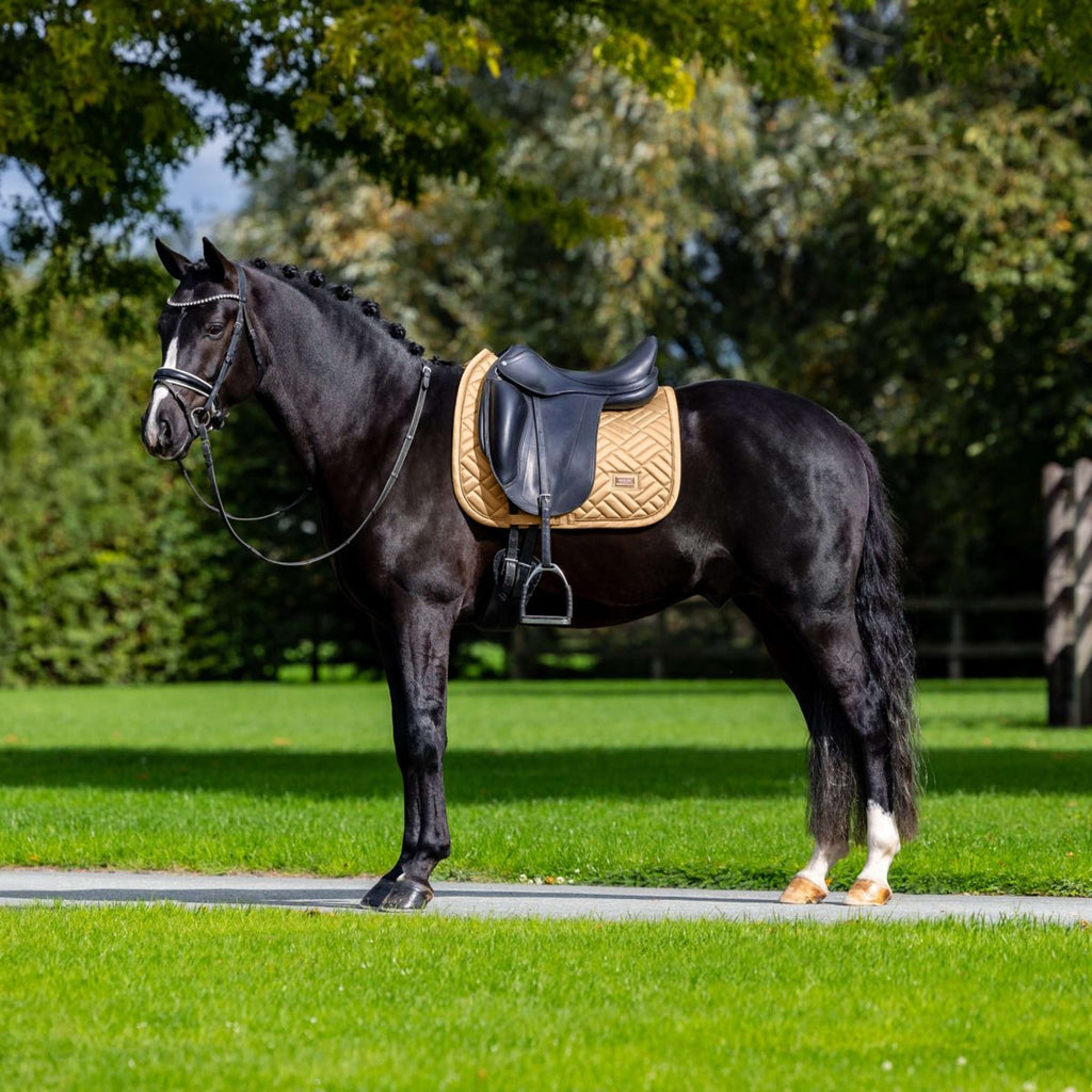 Equestrian Stockholm Tapis de Selle Modern Dressage Midsummer Glow