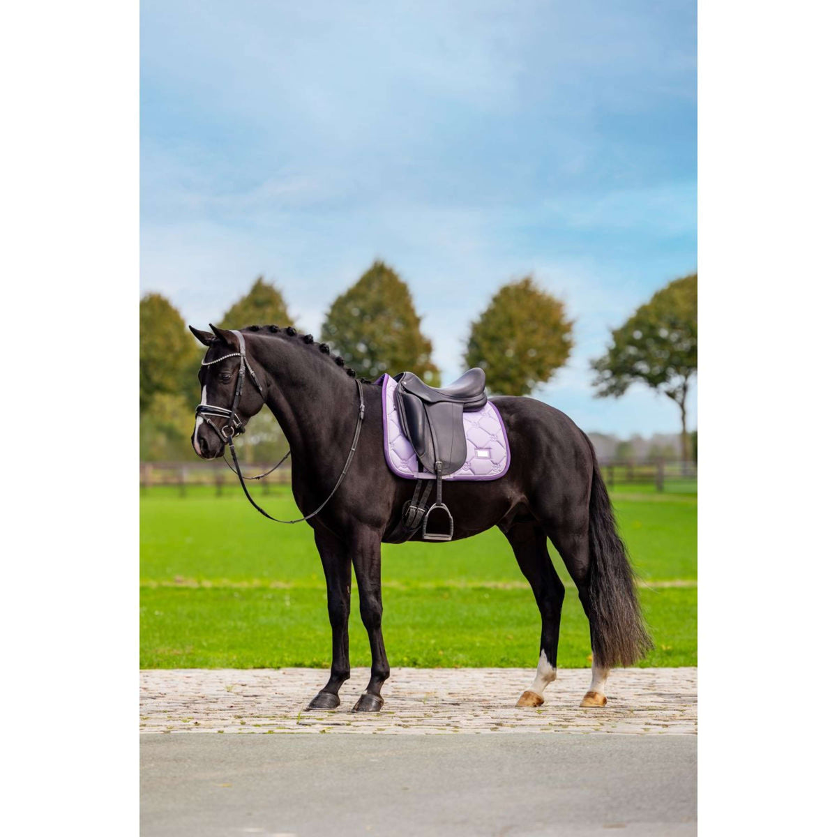 Equestrian Stockholm Tapis de Selle Dressage Lavande