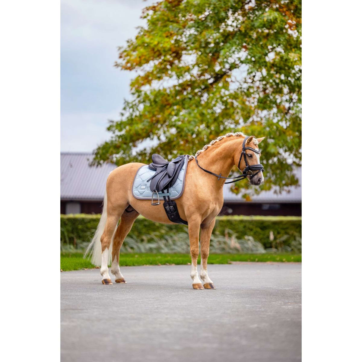 Equestrian Stockholm Tapis de Selle Dressage Ice Blue