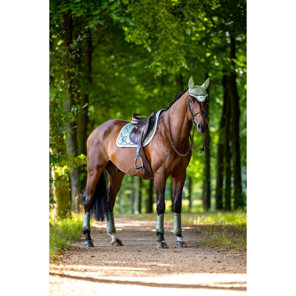 Equestrian Stockholm Guêtres Classic Mesh Pistachio White