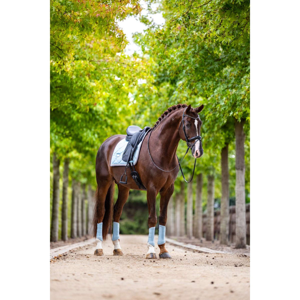 Equestrian Stockholm Tapis de Selle Dressage Ice Blue