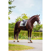 Equestrian Stockholm Guêtres Classic Mesh Pistachio White