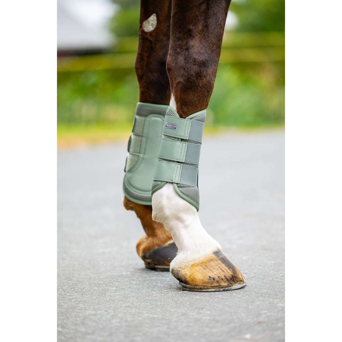 Equestrian Stockholm Guêtres Classic Mesh Pistachio White