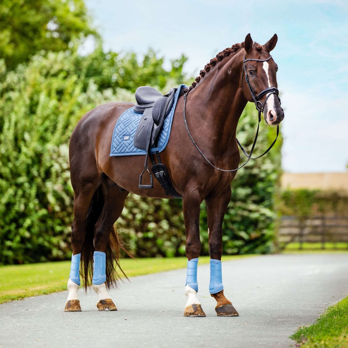 Equestrian Stockholm Guêtres Classic Mesh Midsummer Blue