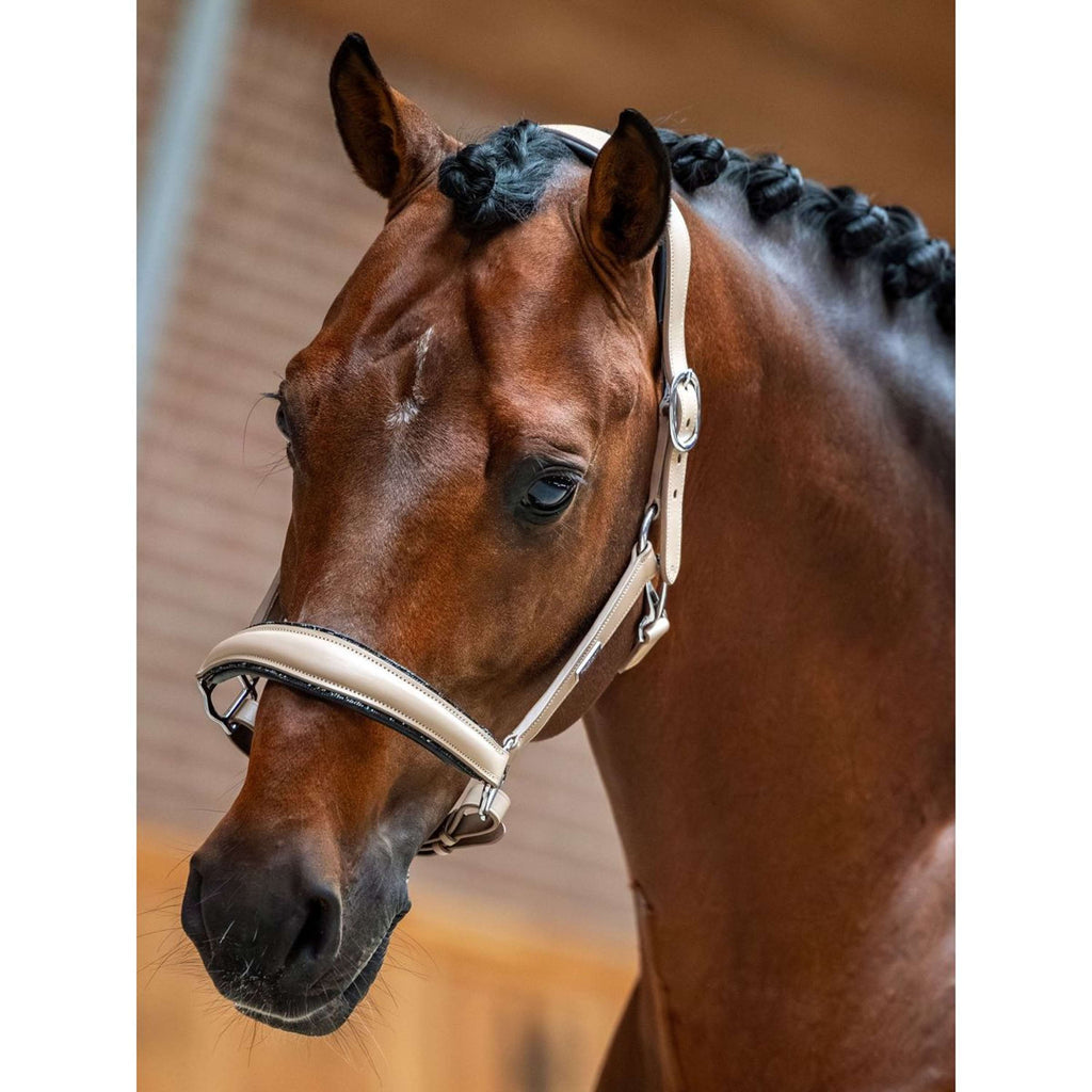 Equestrian Stockholm Licol Glimmer Leather Anatomic Sable
