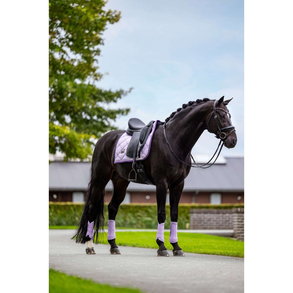 Equestrian Stockholm Tapis de Selle Dressage Lavande