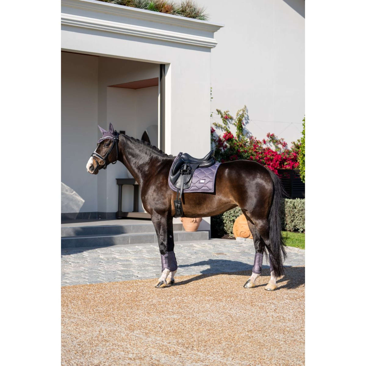 Equestrian Stockholm Guêtres Classic Mesh Dark Violet