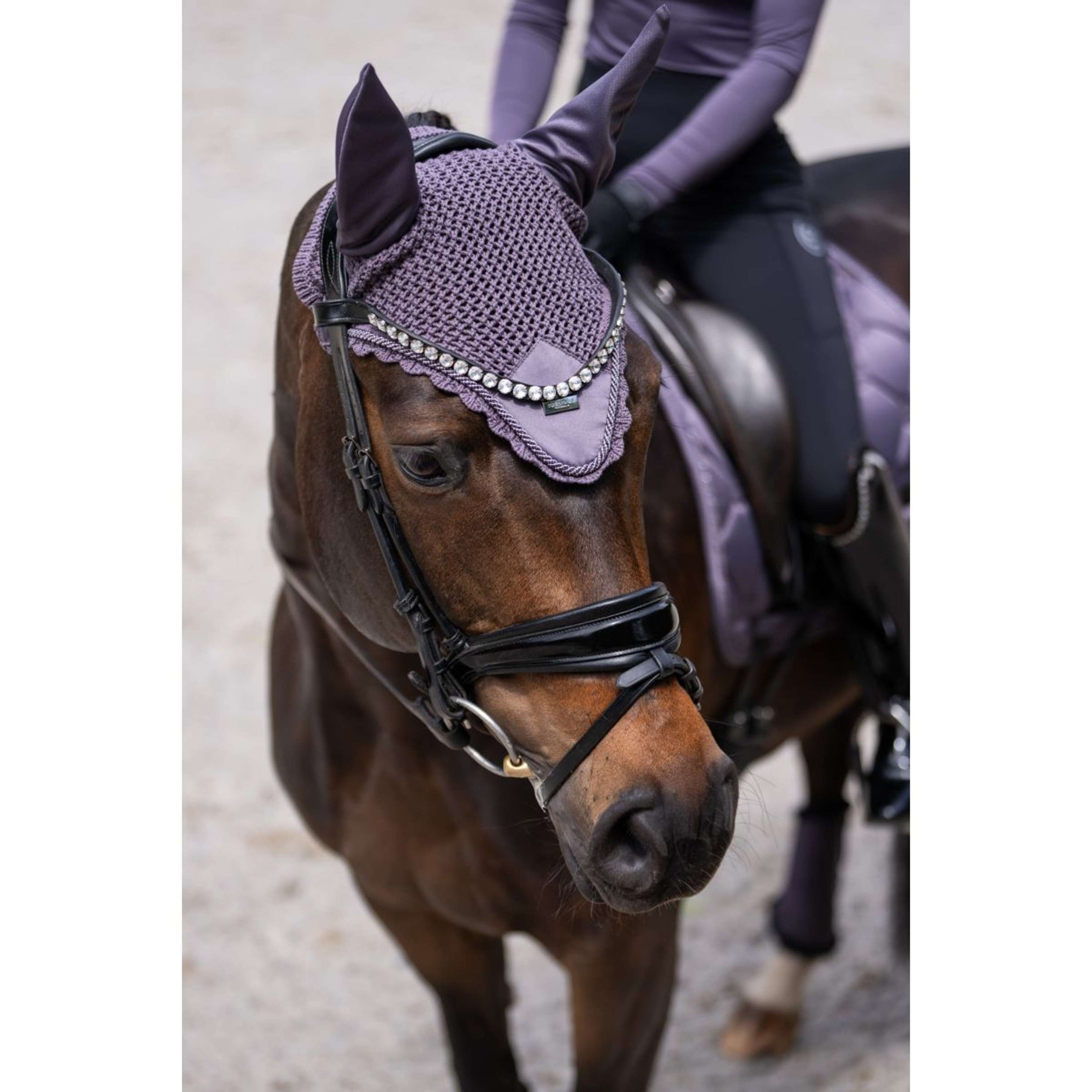 Equestrian Stockholm Bonnet Anti-Mouches Dark Violet Equestrian Stockholm Bonnet Anti-Mouches Dark Violet