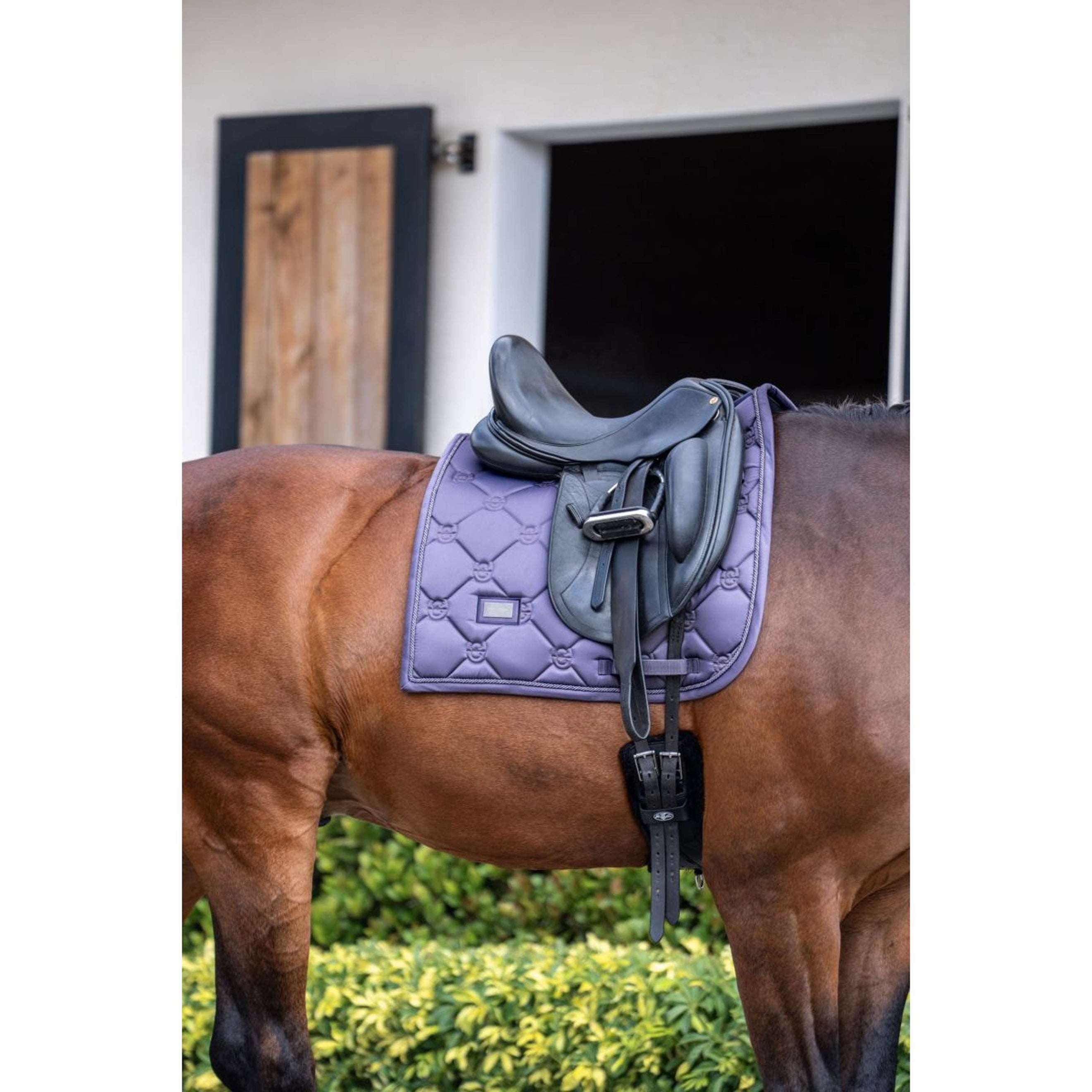 Equestrian Stockholm Tapis de Selle Dressage Dark Violet
