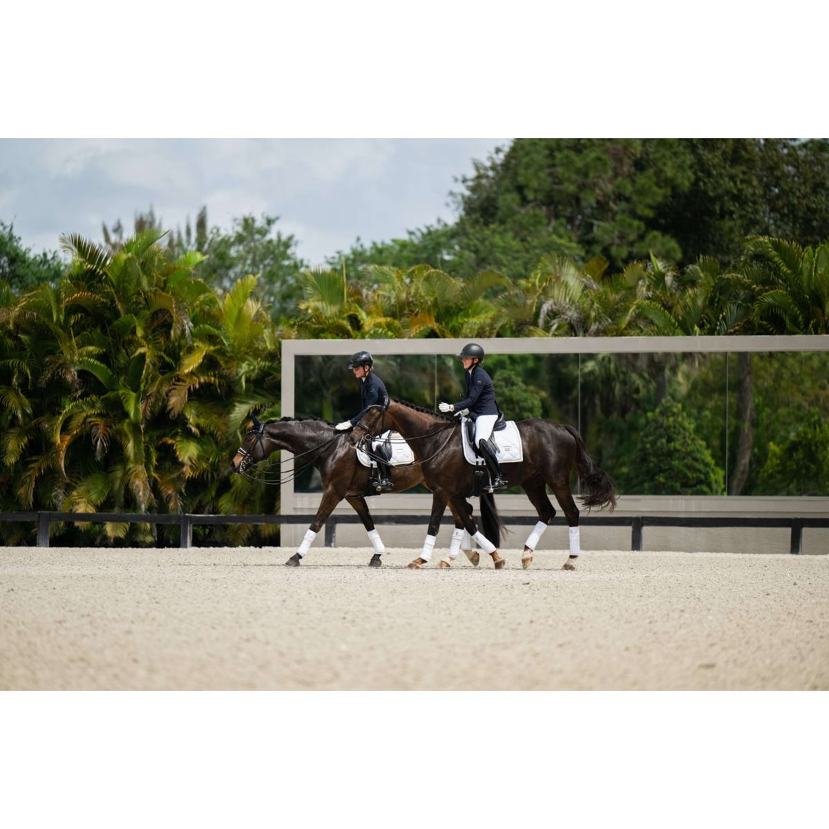 Equestrian Stockholm Tapis de Selle Dressage White Silver