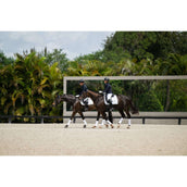 Equestrian Stockholm Tapis de Selle Dressage White Silver