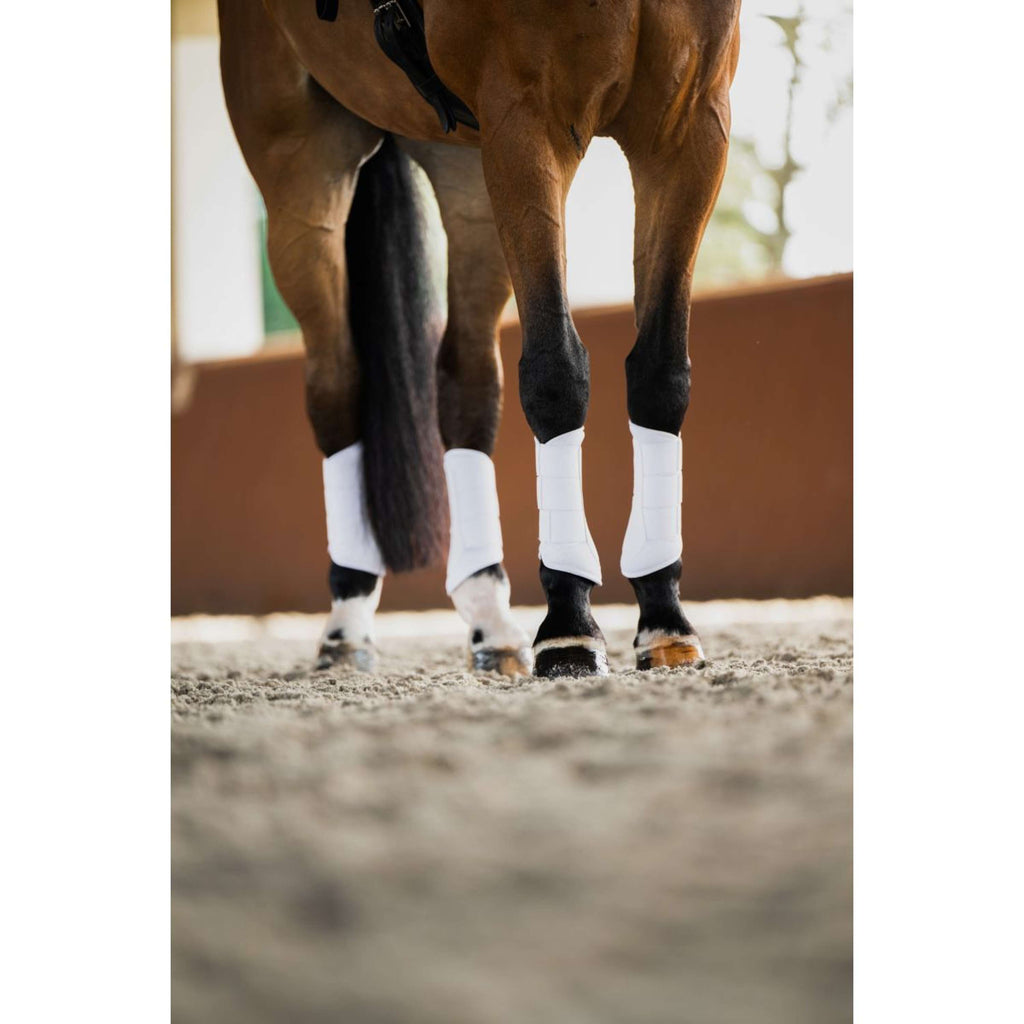 Equestrian Stockholm Guêtres Classic Mesh White Silver