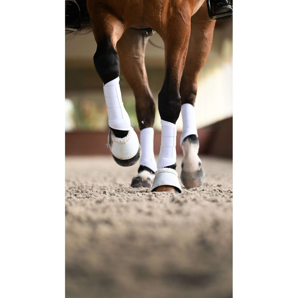 Equestrian Stockholm Guêtres Classic Mesh White Silver