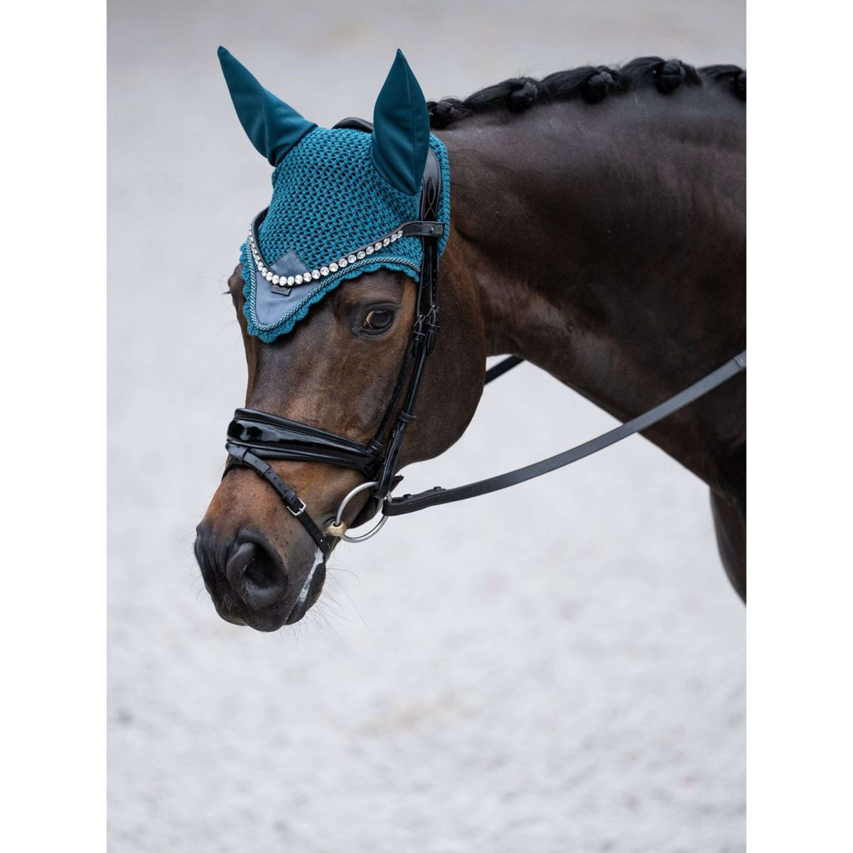 Equestrian Stockholm Bonnet Anti-Mouches Teal Blue