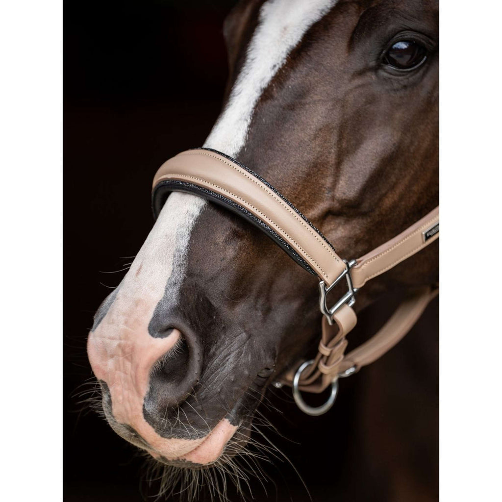 Equestrian Stockholm Licol Glimmer Leather Anatomic Sable