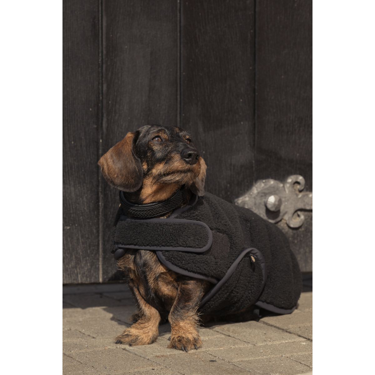 Eskadron Couverture pour Chien Heritage Teddy Noir