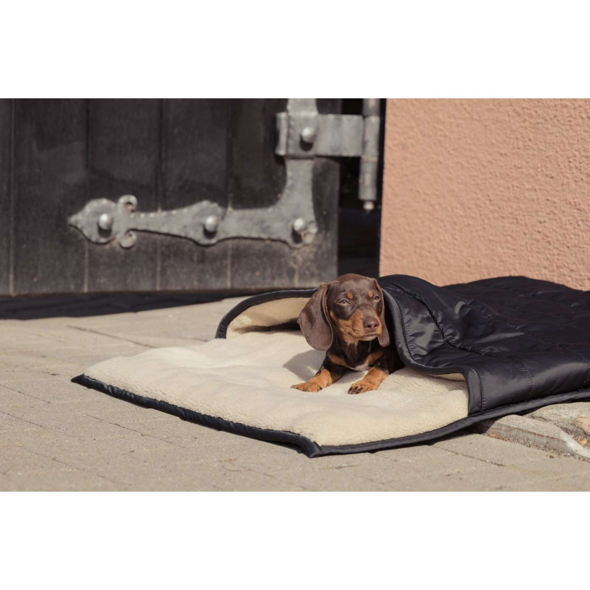 Eskadron Lit pour Chien Heritage Teddyfleece Noir