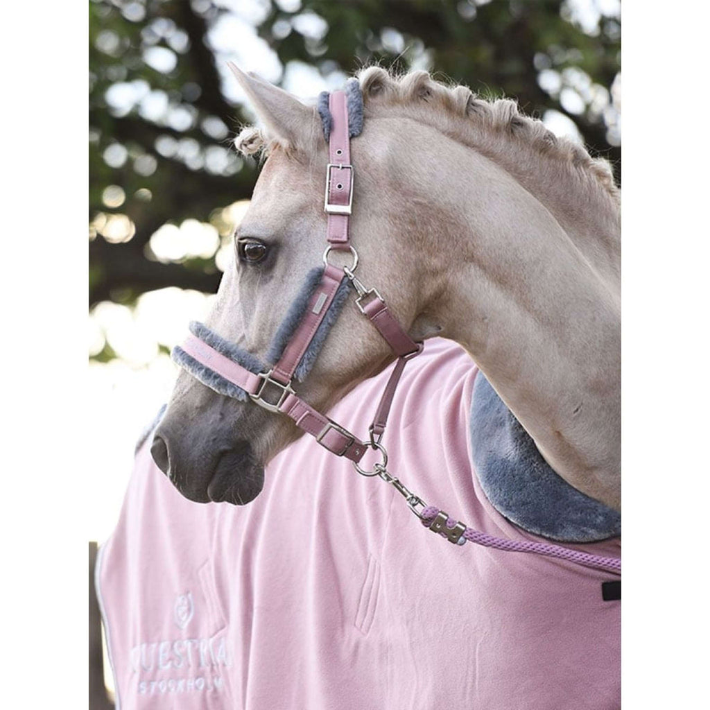 Equestrian Stockholm Licol et Longe Fur Rose
