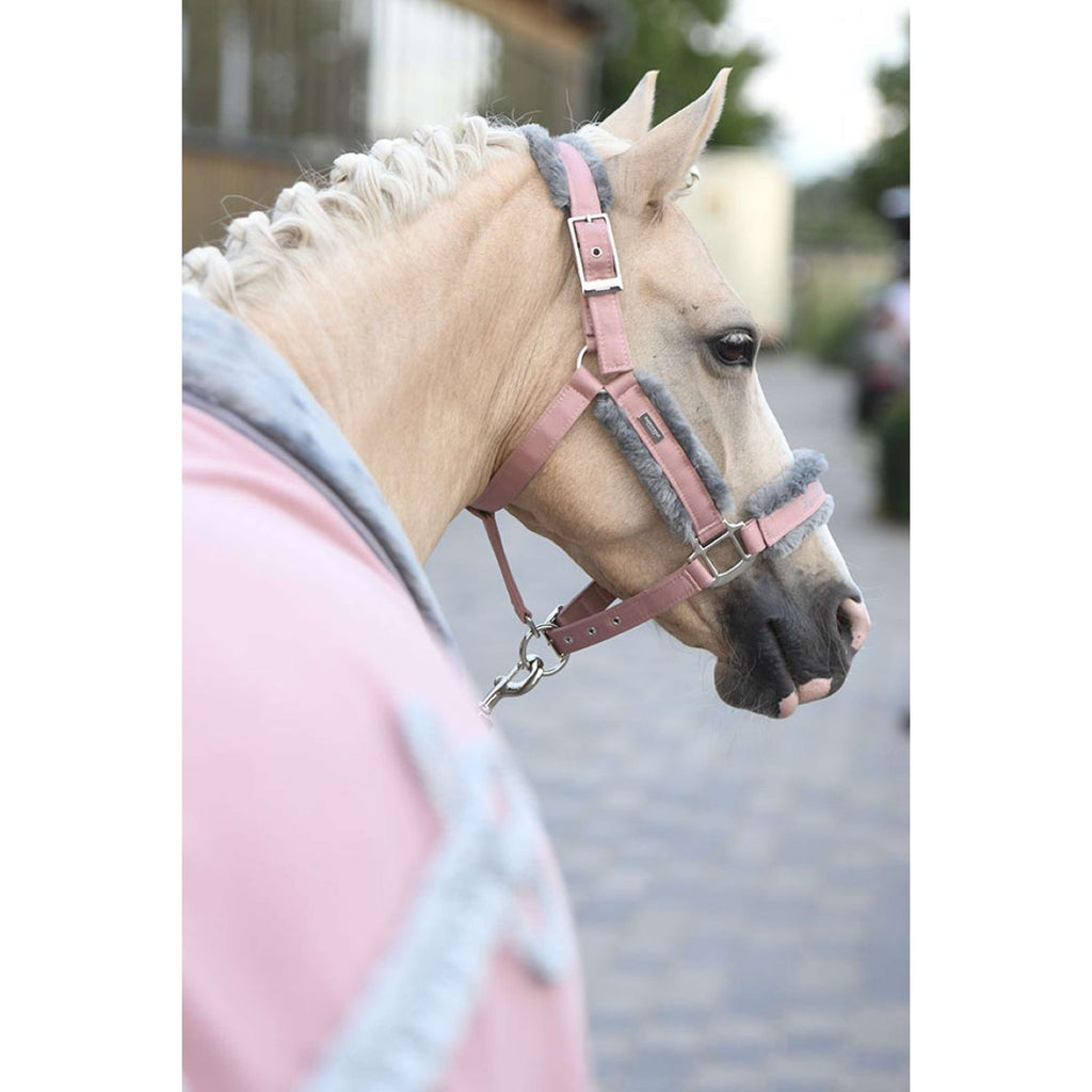 Equestrian Stockholm Licol et Longe Fur Rose