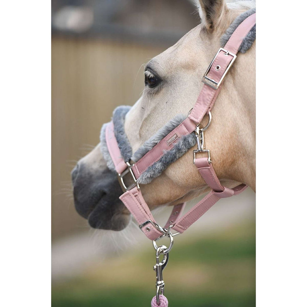 Equestrian Stockholm Licol et Longe Fur Rose