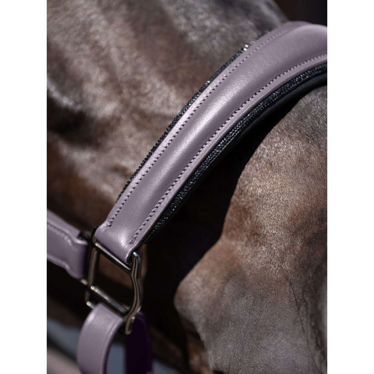 Equestrian Stockholm Licol Glimmer Leather Anatomic Dark Violet