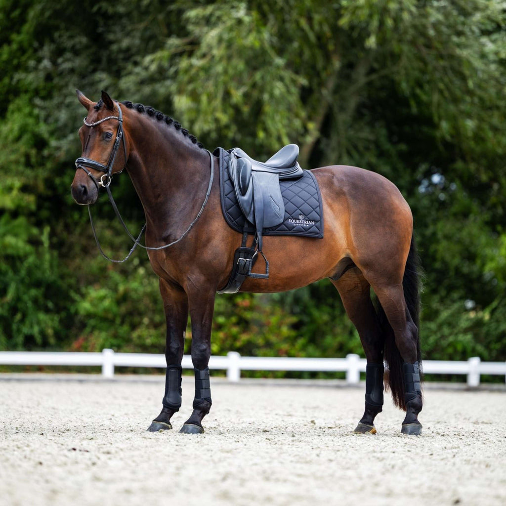 Equestrian Stockholm Tapis de Selle Line Dressage Noir