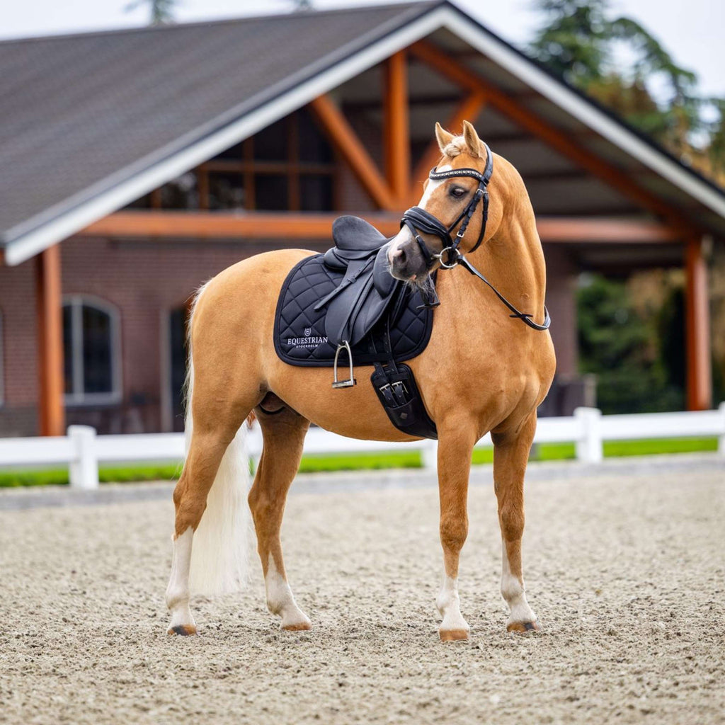 Equestrian Stockholm Tapis de Selle Line Dressage Noir