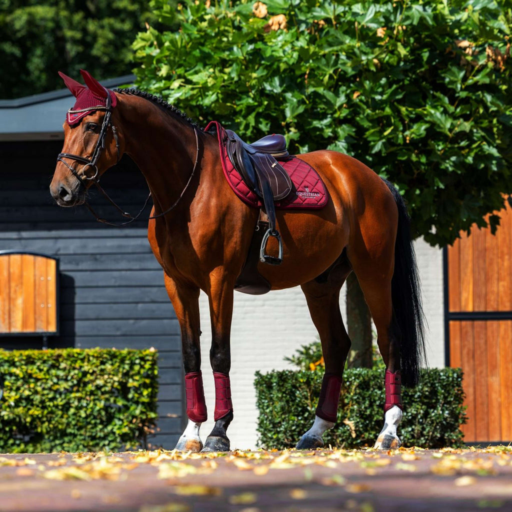 Equestrian Stockholm Tapis de Selle Line de Saut Bordeaux