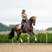 Equestrian Stockholm Tapis de Selle Line Dressage Champagne