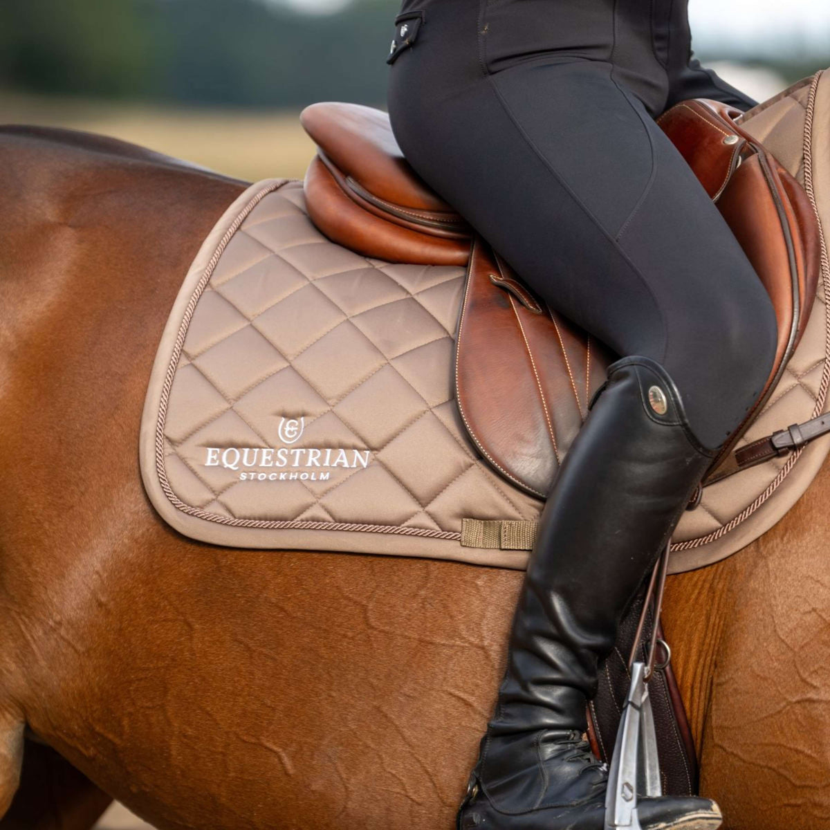 Equestrian Stockholm Tapis de Selle Line de Saut Champagne