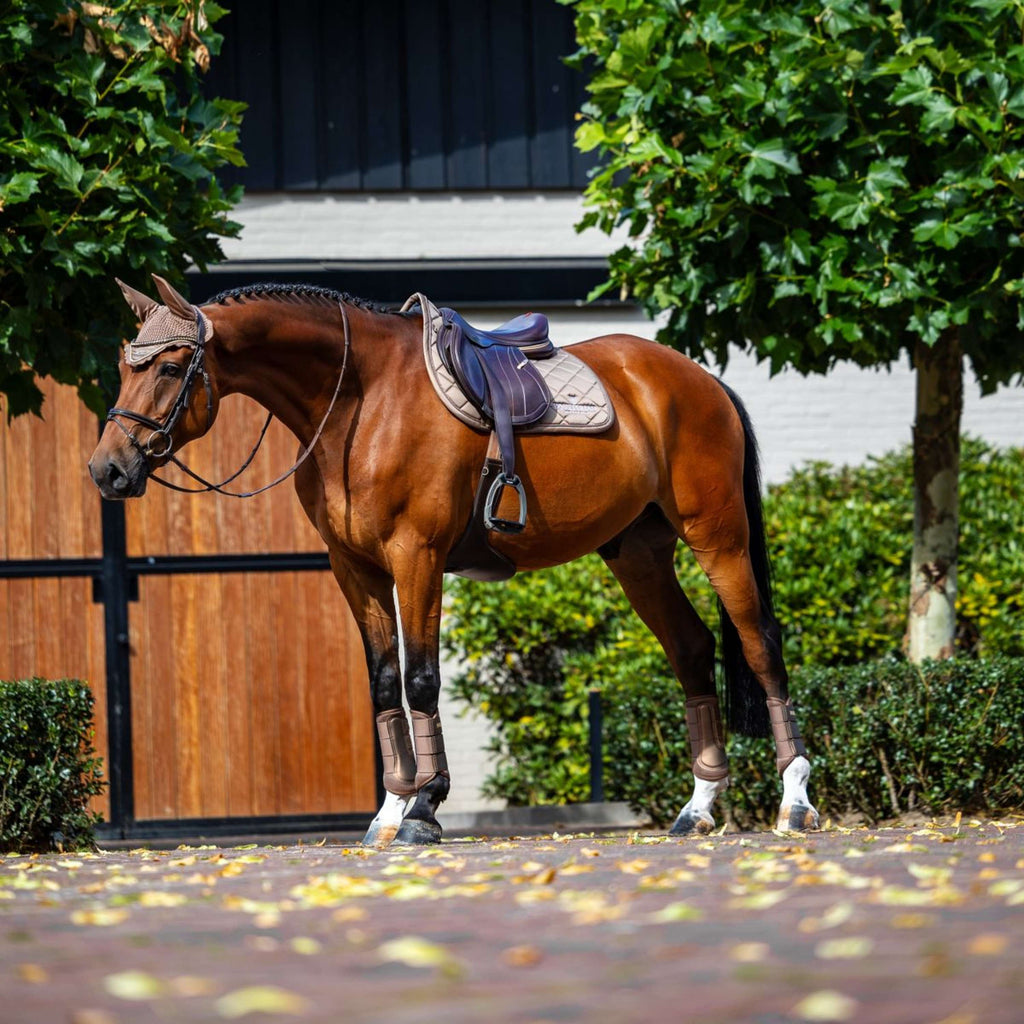 Equestrian Stockholm Tapis de Selle Line de Saut Champagne