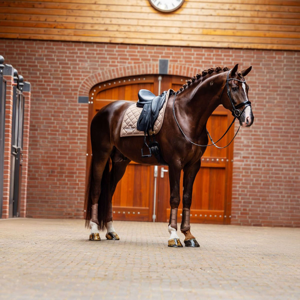 Equestrian Stockholm Tapis de Selle Line Dressage Champagne