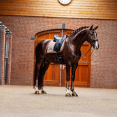 Equestrian Stockholm Tapis de Selle Line Dressage Champagne