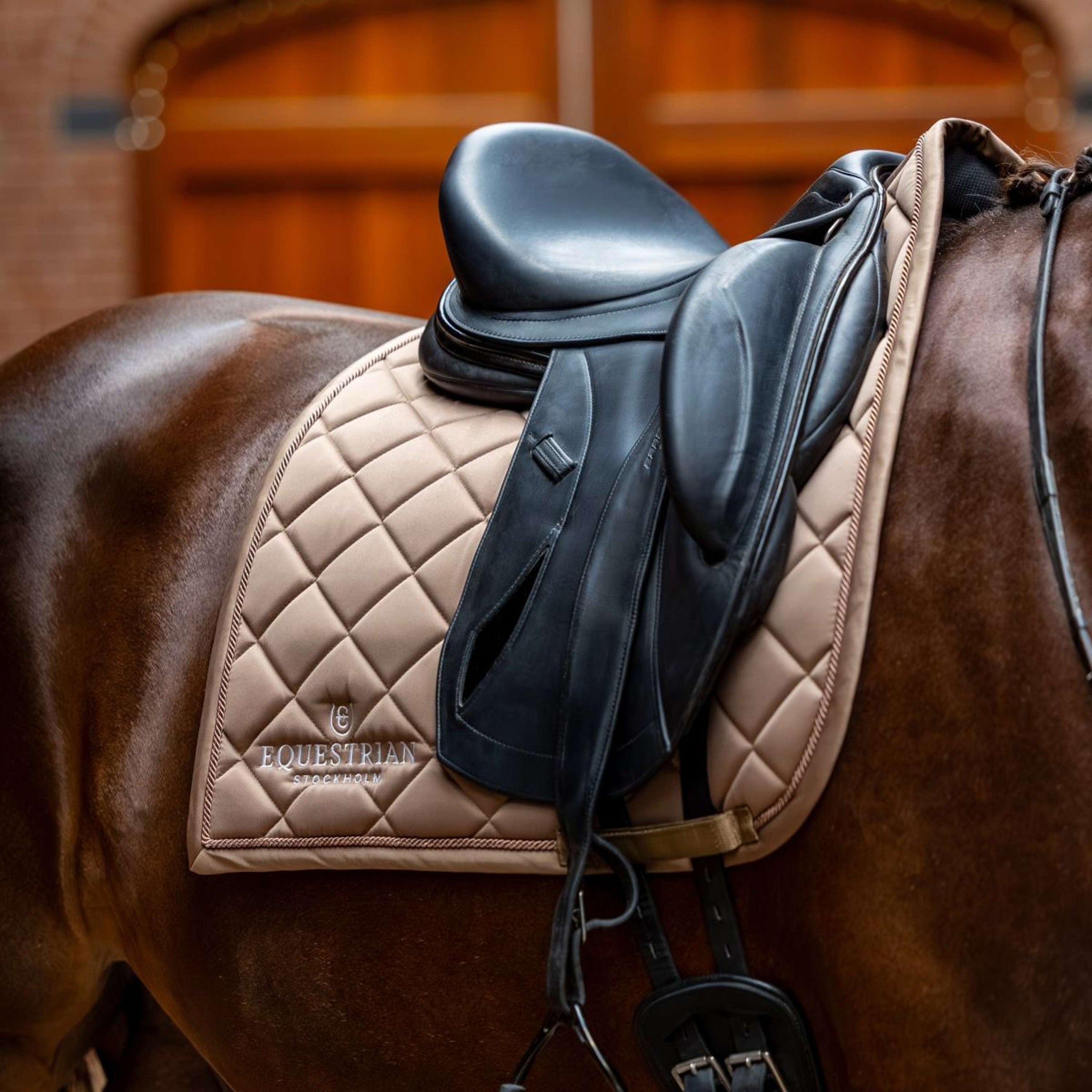 Equestrian Stockholm Tapis de Selle Line Dressage Champagne