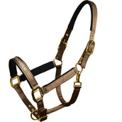 Equestrian Stockholm Licol Line Champagne