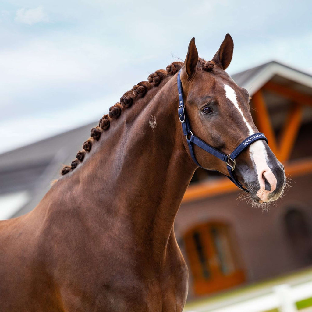 Equestrian Stockholm Licol Line Marin