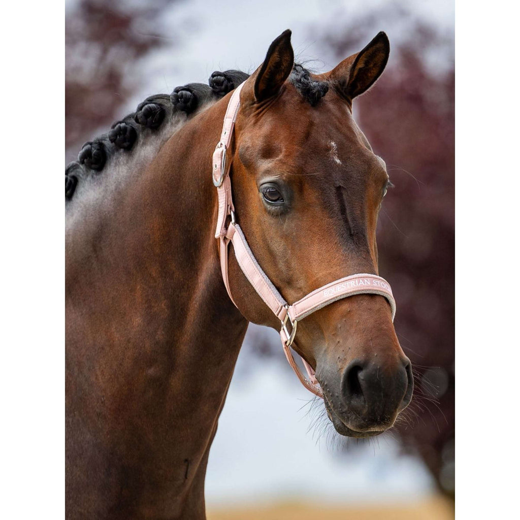 Equestrian Stockholm Licol Line Rose