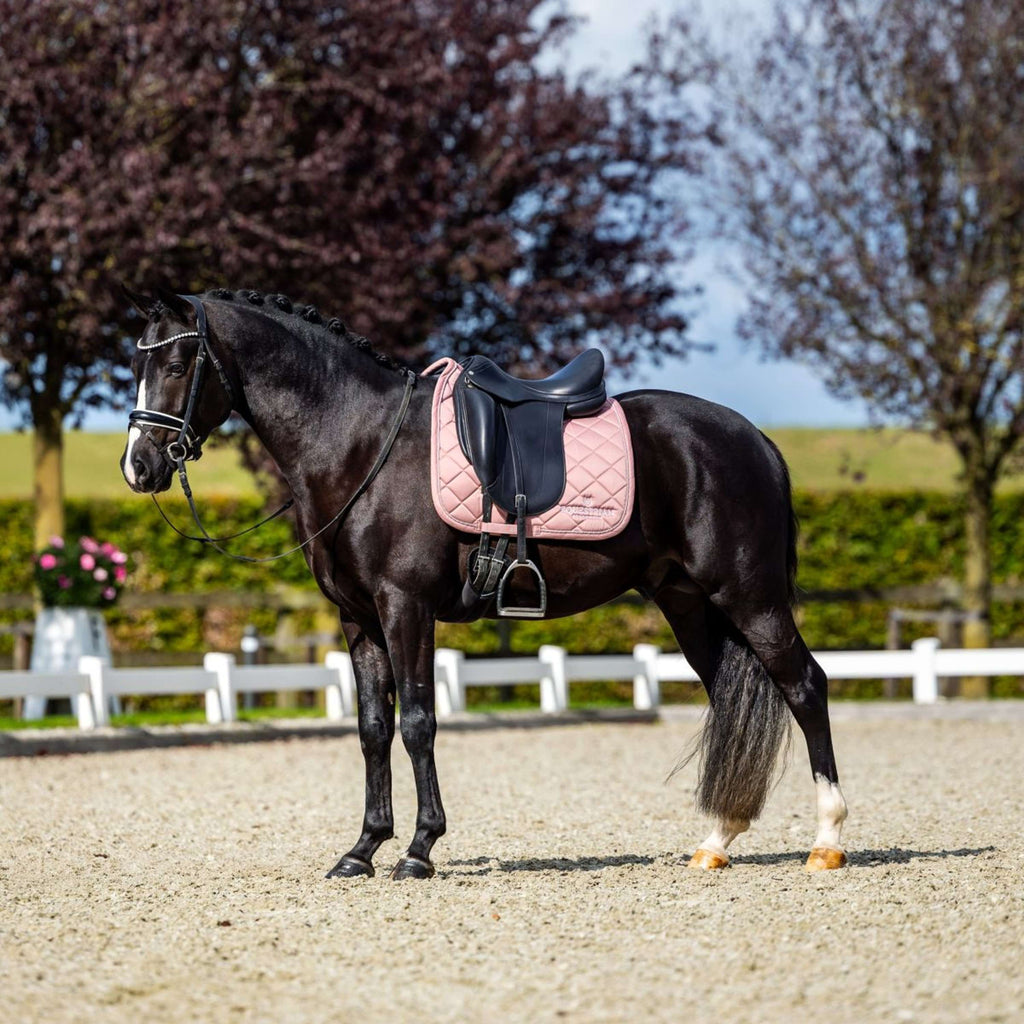 Equestrian Stockholm Tapis de Selle Line Dressage Rose